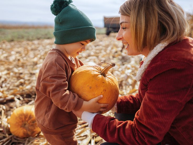 Pumpkin patch